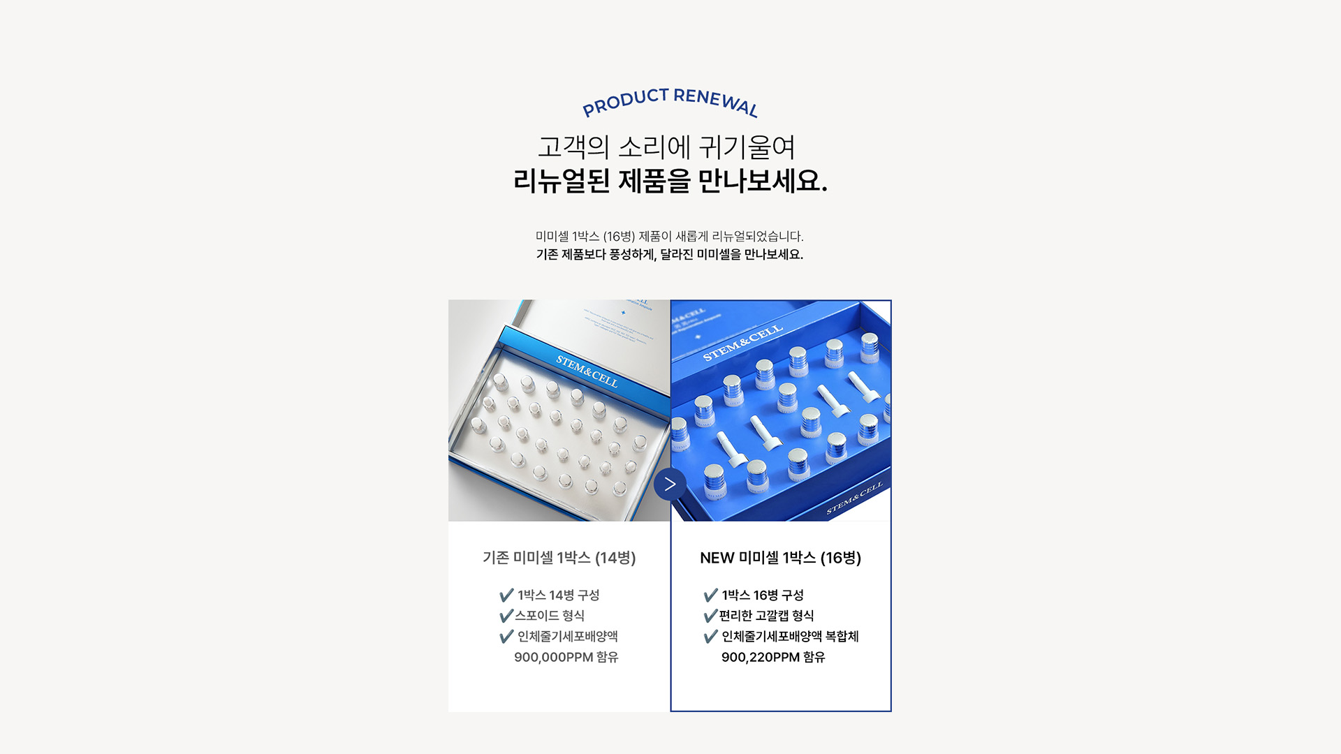 스템앤셀