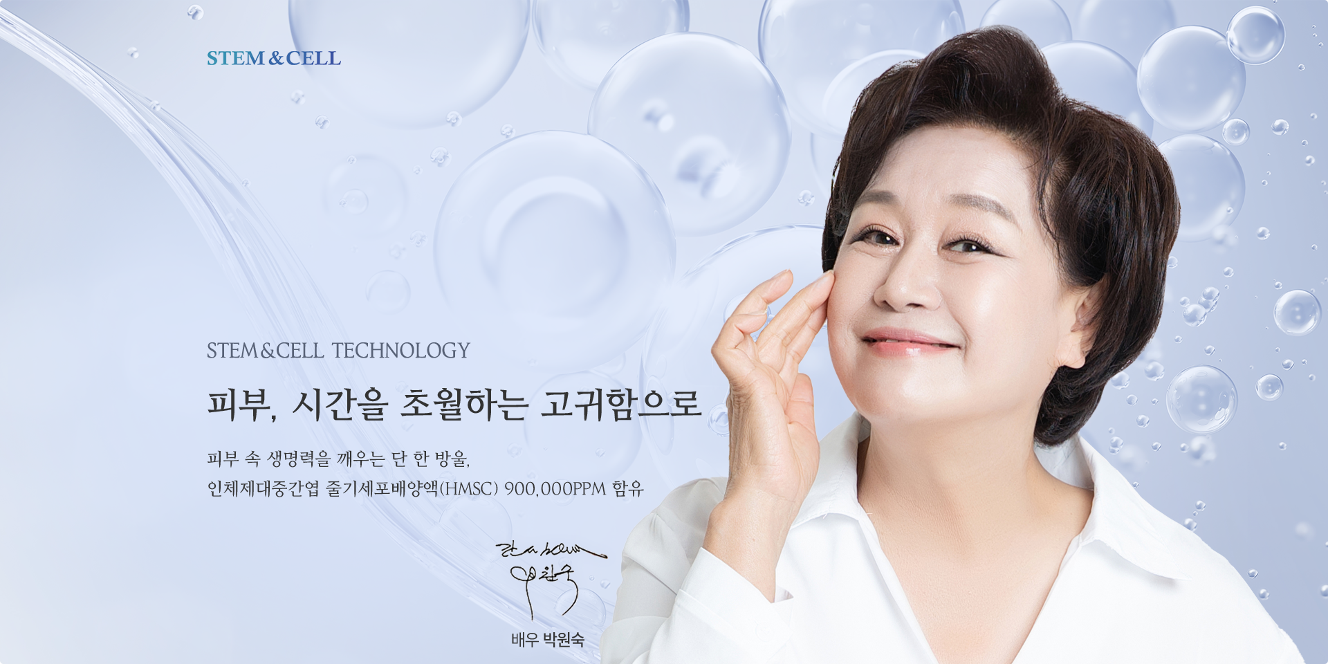 스템앤셀