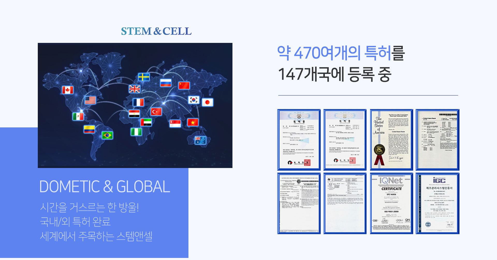 스템앤셀