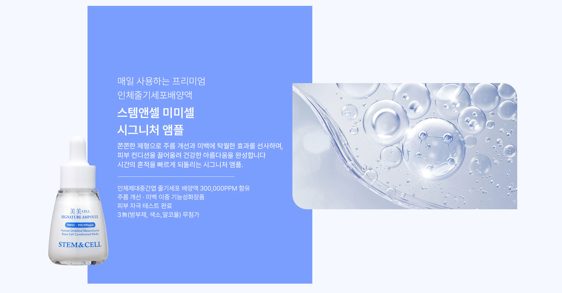 스템앤셀