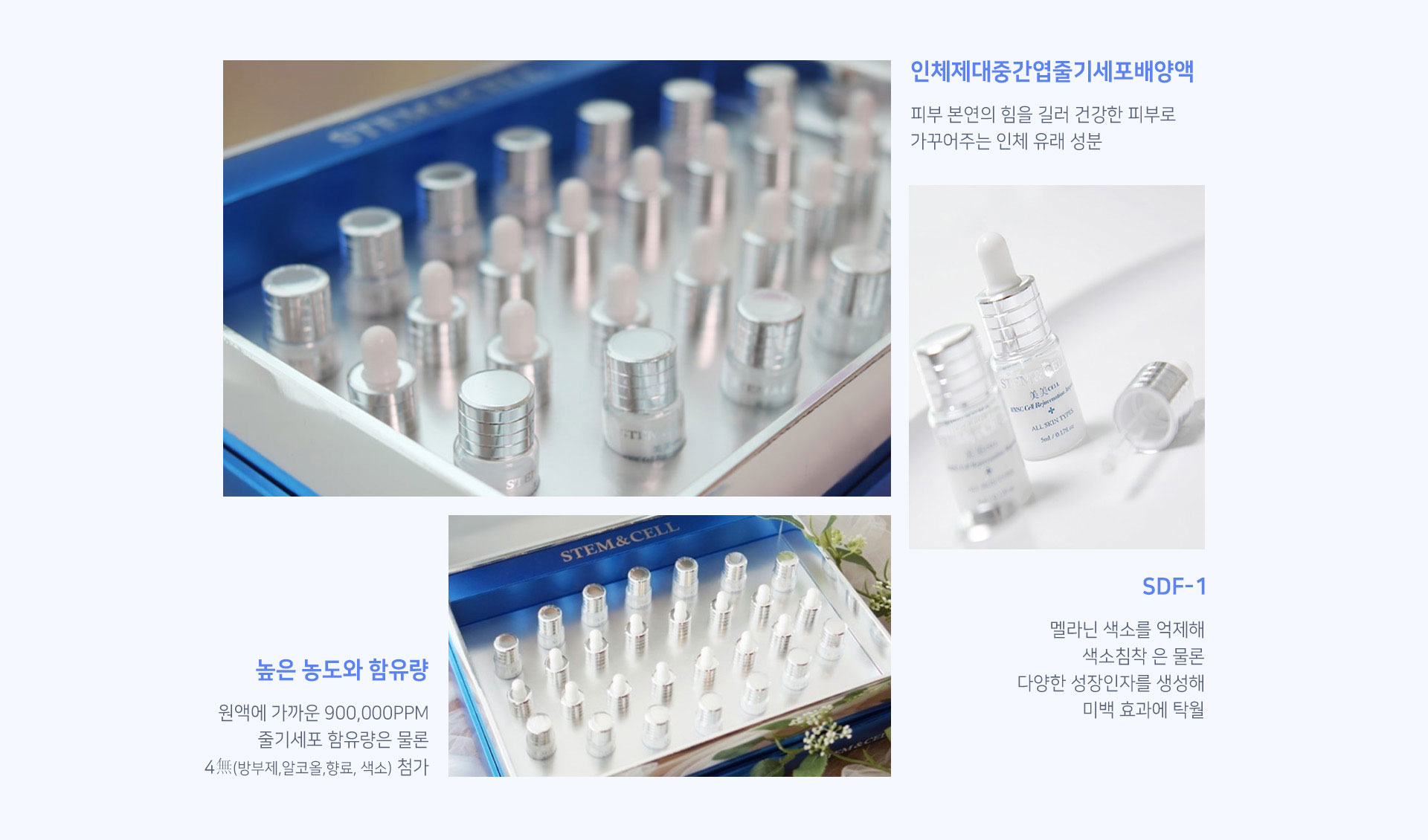 스템앤셀