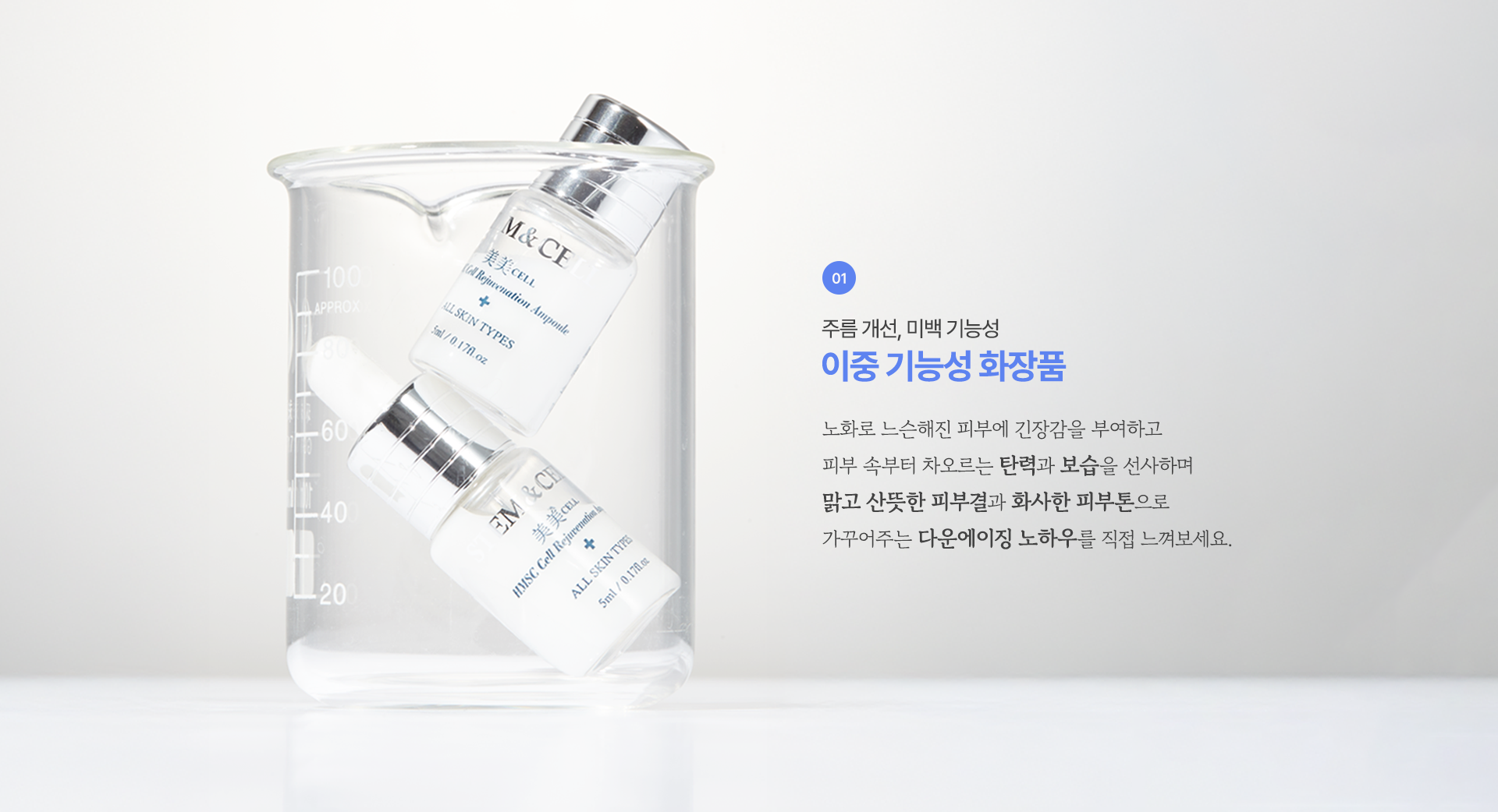 스템앤셀