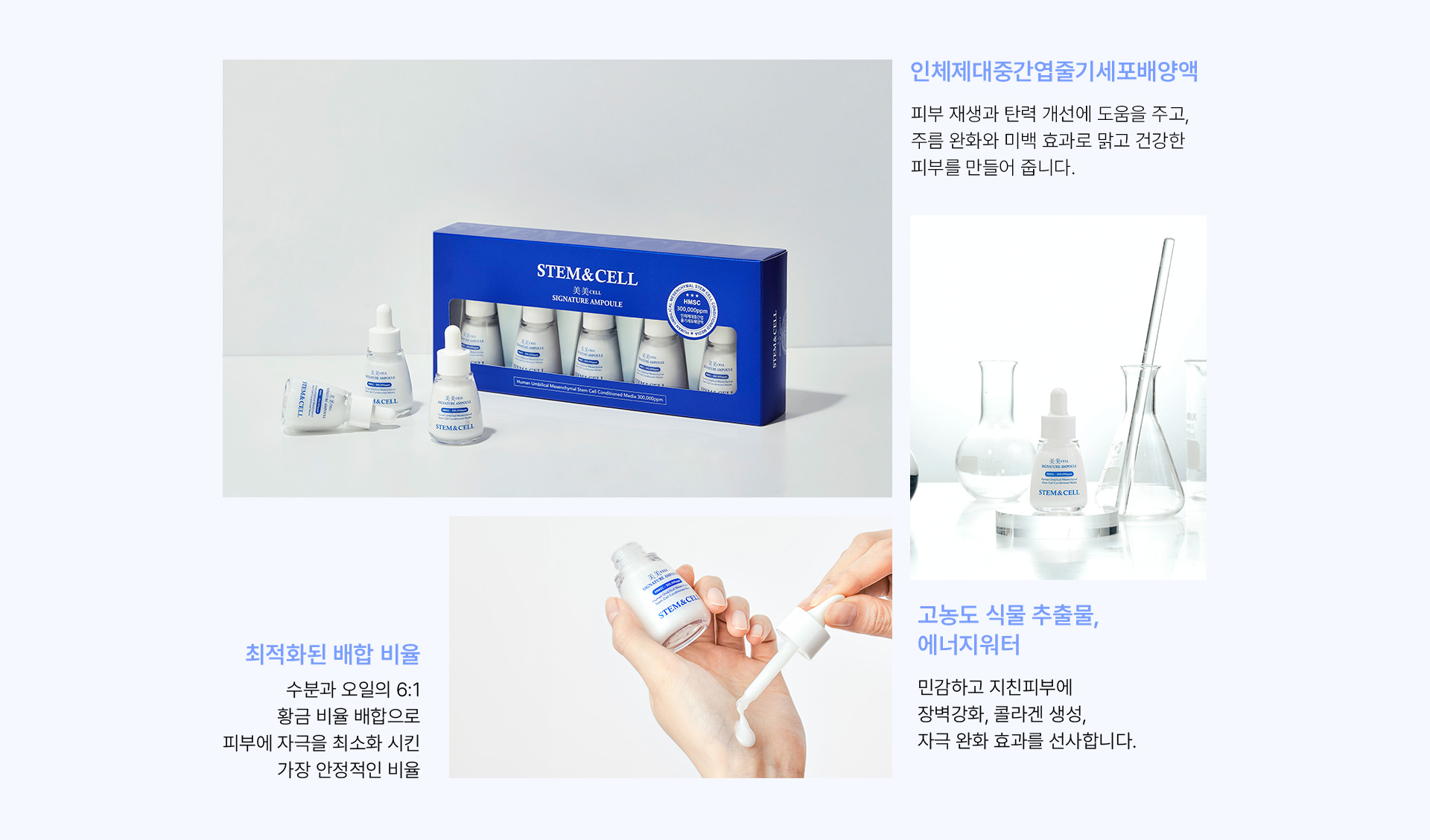 스템앤셀