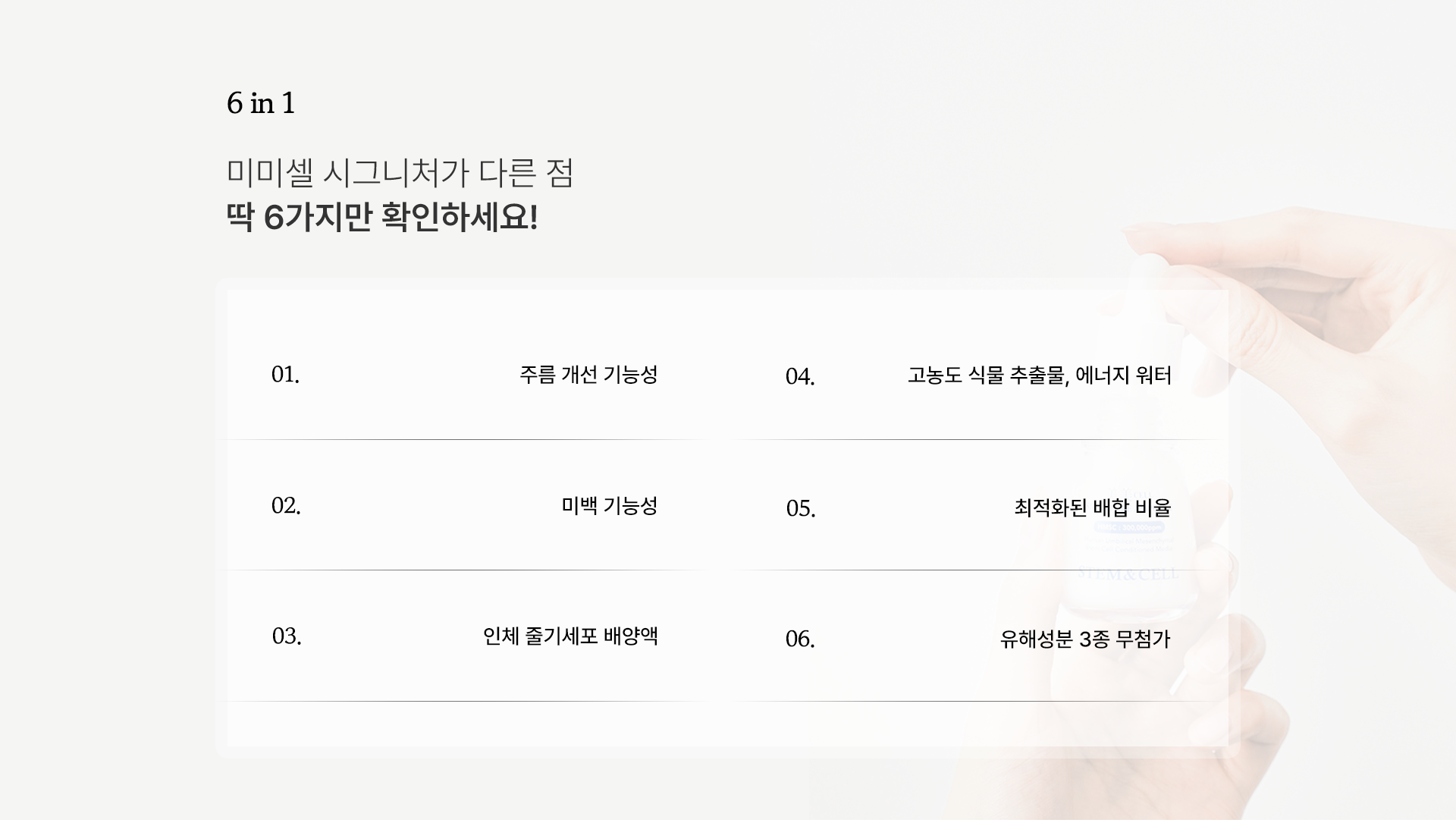 스템앤셀