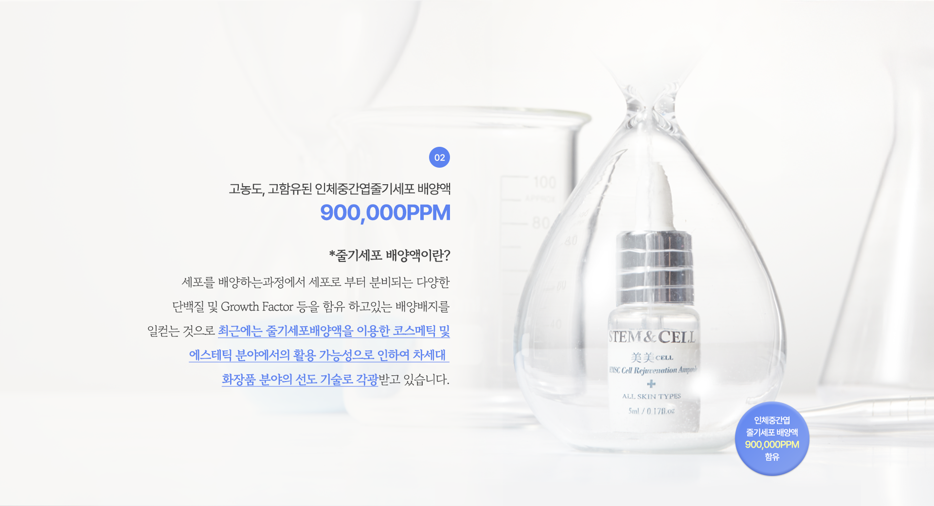 스템앤셀