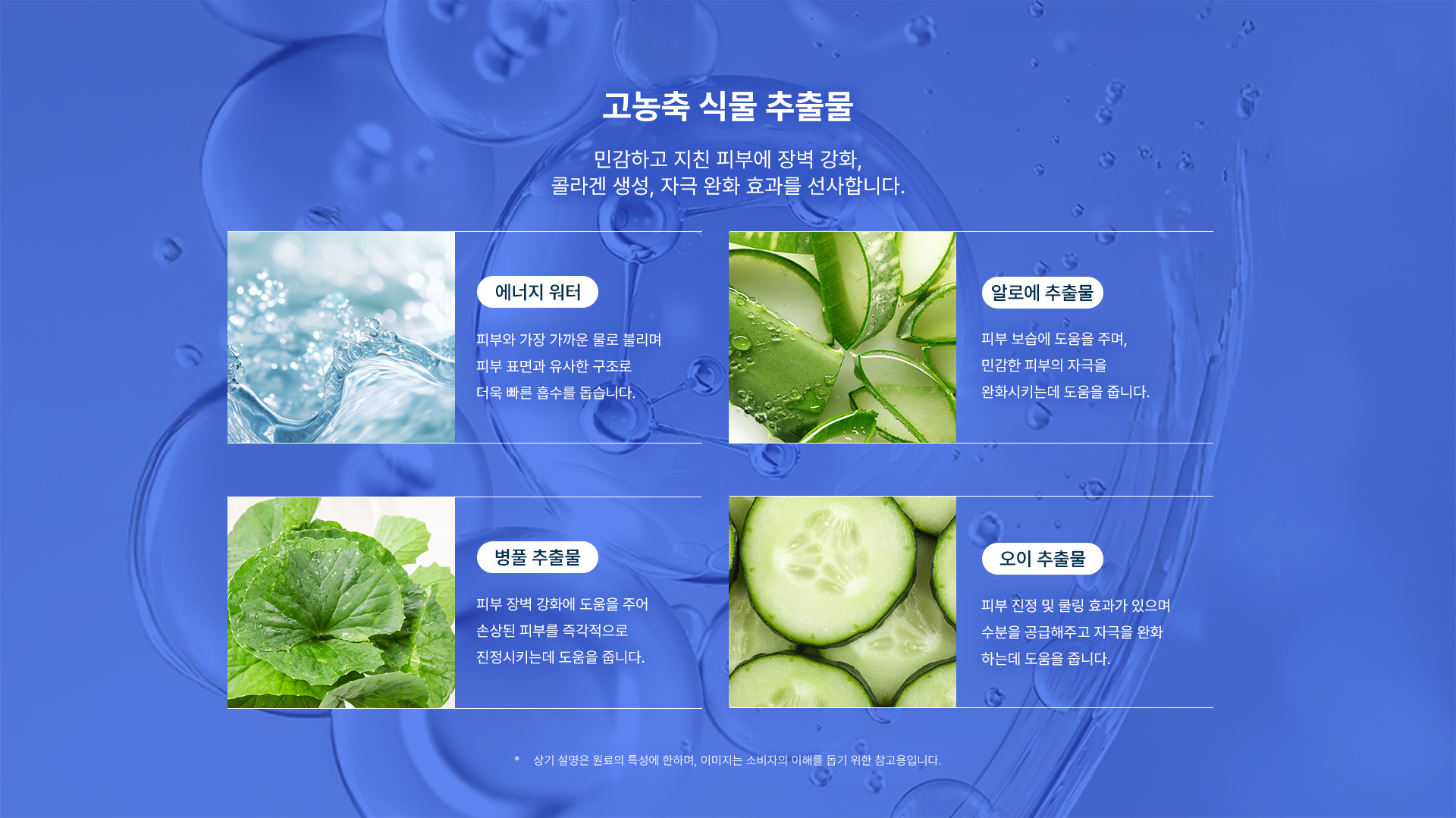스템앤셀