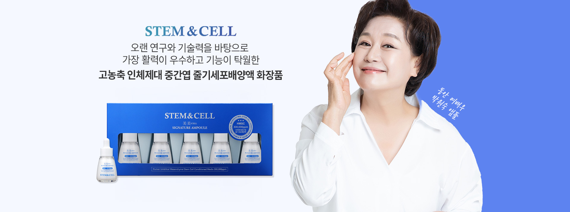 스템앤셀